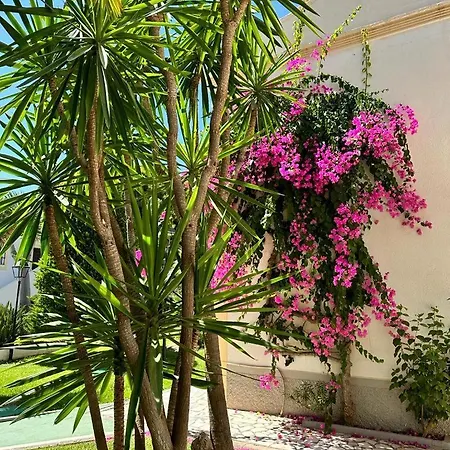 Apartment Casa Vindel A Tan Solo 300 M De La Playa Vera
